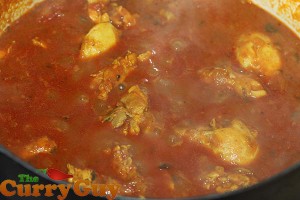 Making Punjabi chicken curry