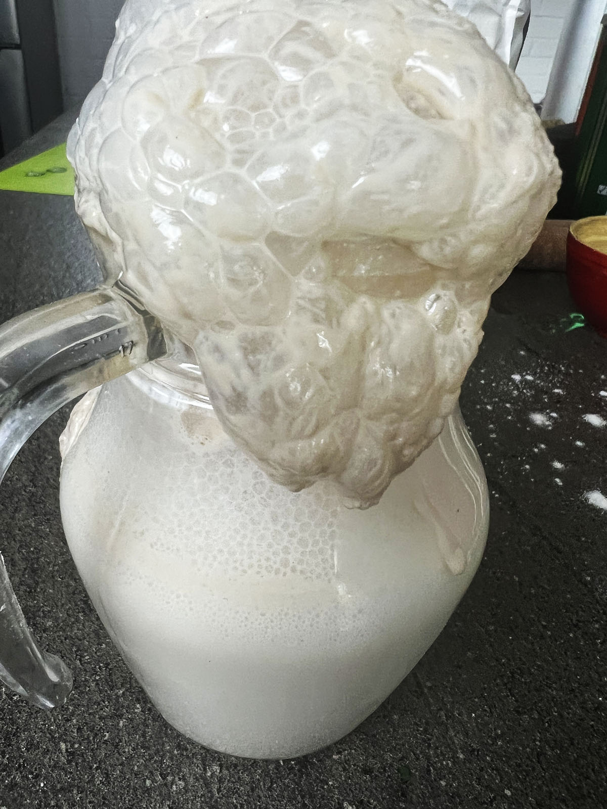 Frothy yeast in milk