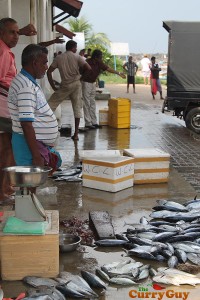 Fish market near Hikka Tranz