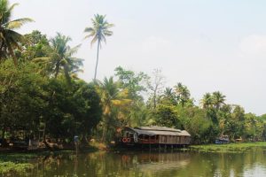Kerala backwaters cruise