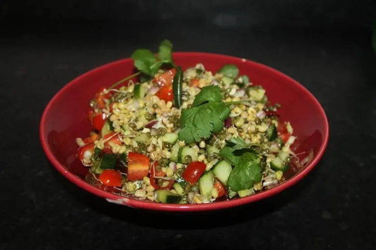 Sprouted moong Salad