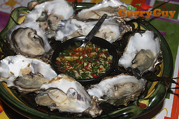 Fresh Oysters With A Spicy Sauce