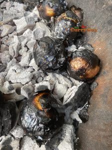 Onions cooking in embers