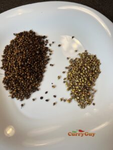 Dark and lightly roasted coriander seeds.