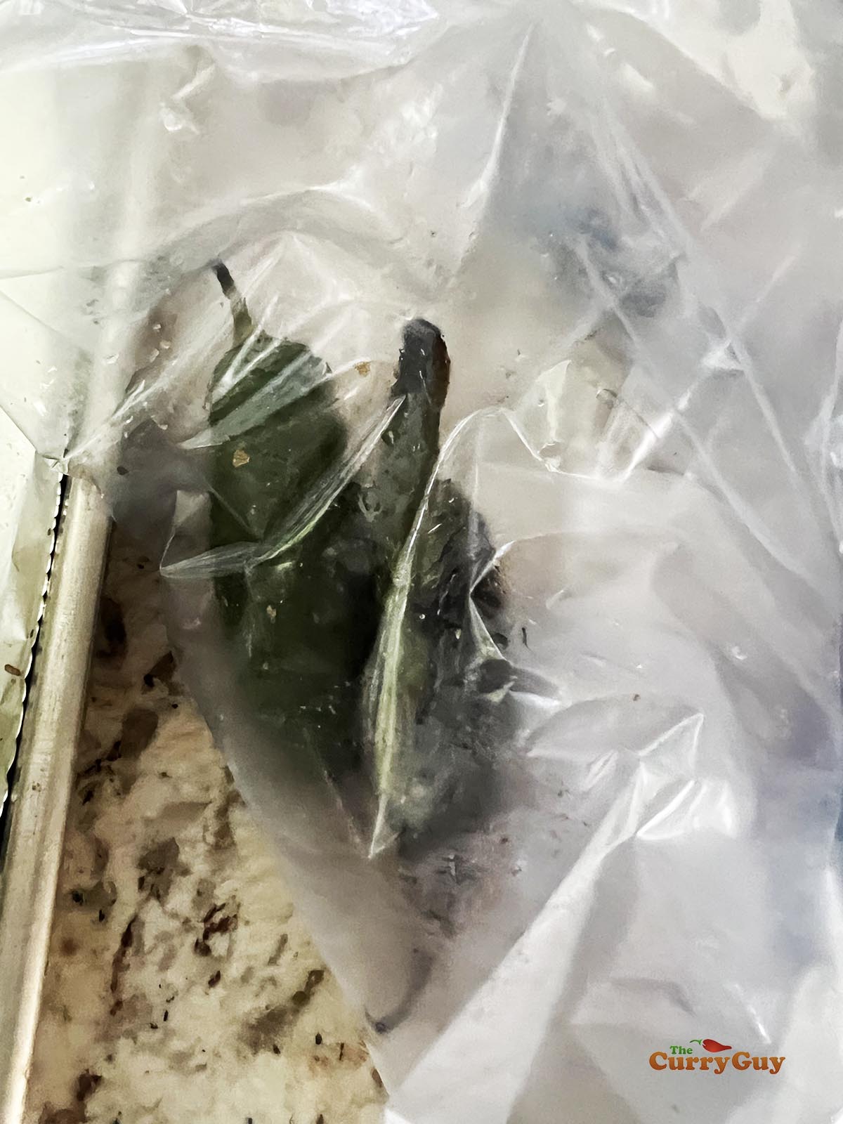 Chilies in a plastic bag, softening to remove the skin.